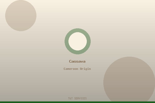 Cassava