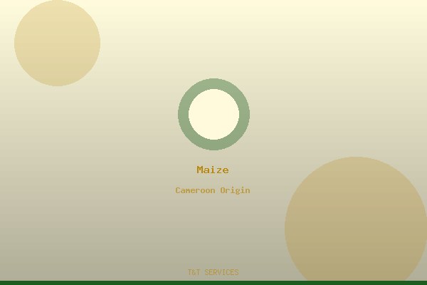 Maize (Corn)